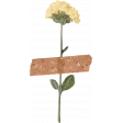 Faith Taped Flower