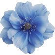 Faith Flower Blue