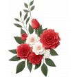 Rose Flower Cluster 3