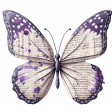 Paint Splashed Newspaper Butterfly