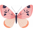 Pink Orange Butterfly