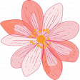 Pink Orange Flower 2