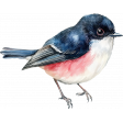 Watercolor Navy Blue and Pink Bird