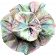 Rainbowflower 1