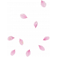 Pink Flower Scatter (02)