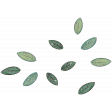 Pretty Bird (scatter)