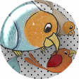 Pretty Bird Brad (01)