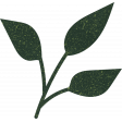 Pretty Bird Leaf