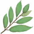 Barnyard Buddies Leaf (04)