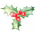 Watercolor Christmas Holly