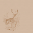 Deer Bkgd Paper