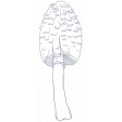 Mushroom 1