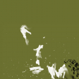 MM Paper 110