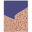 Pocket 1