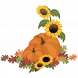Sunflowers and Pumpkins