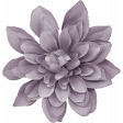 Snow Day Flower 3