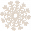 Snowflake 5