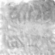 Transparent Overlays - Painted Overlay 05
