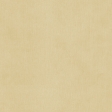 Birthday Wishes - Tan Solid Paper