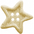 Birthday Wishes - Tan Glitter Star Button