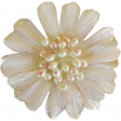 Jane - Cream Flower With Pearls