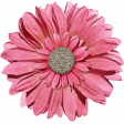 Shine - Large Pink Flower