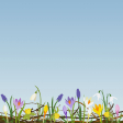 Spring flower paper