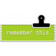 Plastic Tag1
