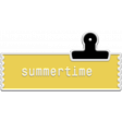 Plastic Tag2
