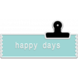 Plastic Tag6
