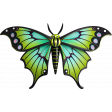 Moth Green & Black Clipart