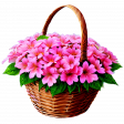 Country Pink Flower Basket