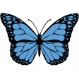 Blue Butterfly Illustration Endures