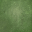 Spread Your Wings - Green Paper