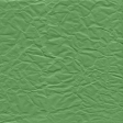 Picnic Day - Paper Crumpled Green