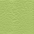 Picnic Day - Paper Crumpled Green Light