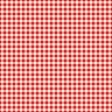 Picnic Day_Paper_Plaid_Red
