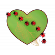 Heart - Ladybugs