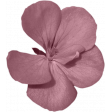 Be Yourself Small Flower