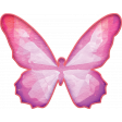 Butterfly 6