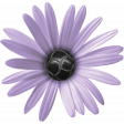 Purple Days Flower 3