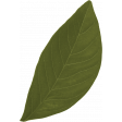 Motivate Yourself Leaf 1