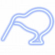 Neon Kiwi