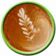 Coffee Fern