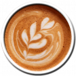 Coffee Leaves