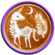 Coffee Unicorn