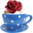 Cupcake Rose
