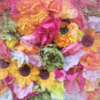 July 2022 Blog Train Paper 04