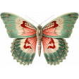 Collected Curiosities #4 - Butterfly 01