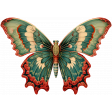 Collected Curiosities #4 - Butterfly 02
